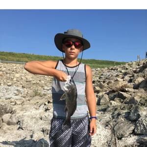 Meet your Posher, Kendall